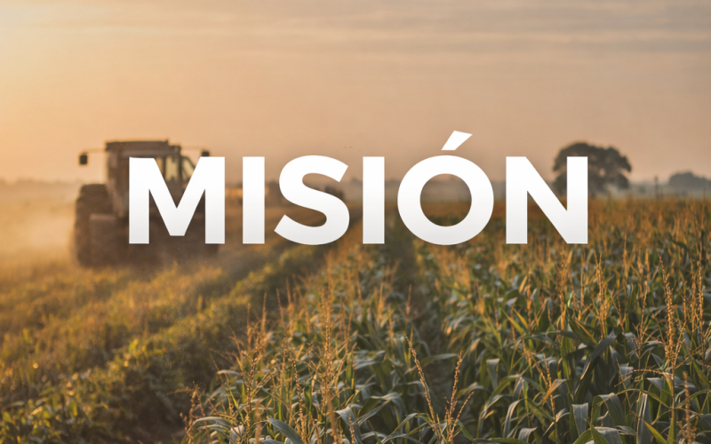 ChatGPT Image 6 ene 2026, 18_59_39 ChatGPT Image 6 ene 2026, 18_59_39