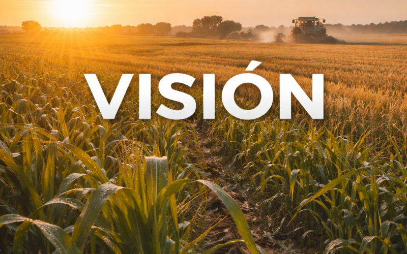 ChatGPT Image 6 ene 2026, 19_06_23 ChatGPT Image 6 ene 2026, 19_06_23